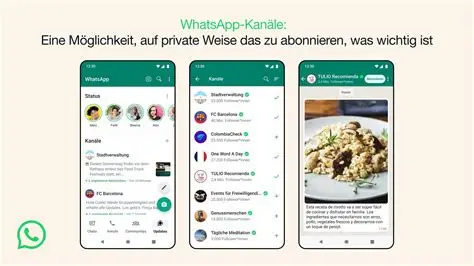 whatsapp电脑怎么用：从安装到高效使用的完整指南