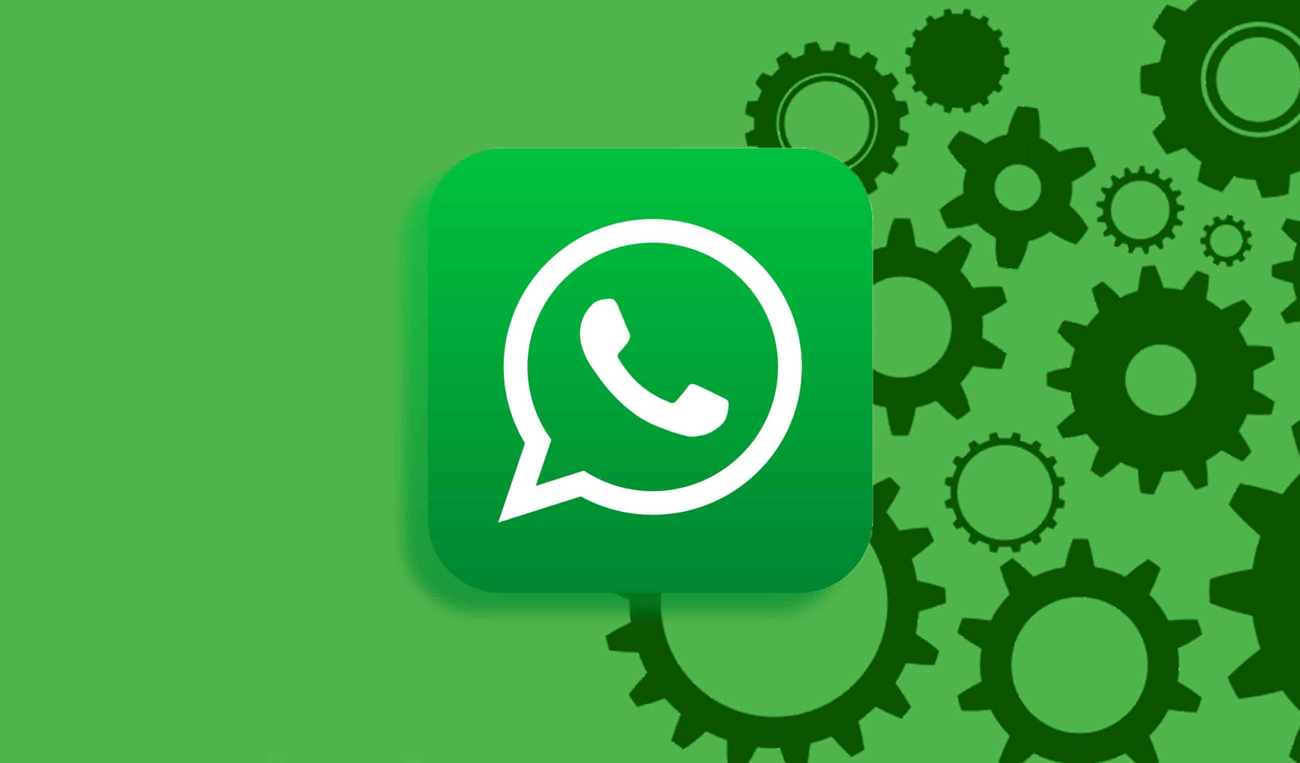 为什么WhatsApp发送的图片不清晰？4种方法让你发送高清原图